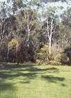 another view of the treed and grass area at camp