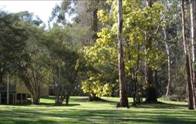 Grassed areas surround lodge rooms and are suitable for wide games