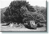 Demolition_MurtonHouse_c1950.jpg