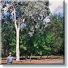 08F1000008.jpg