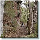 Cheshunt0406_2018.JPG