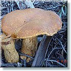 DSC02640.JPG