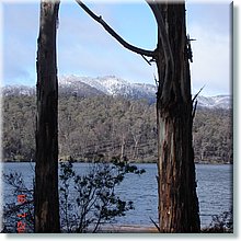 king valley