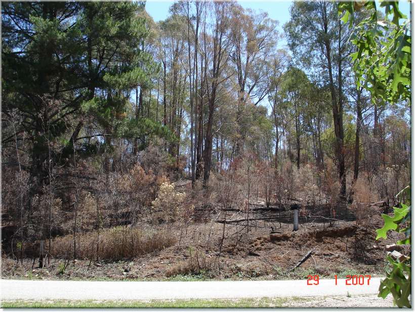 DSC02036.JPG