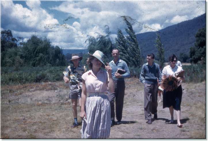 Scan10030lores.jpg
