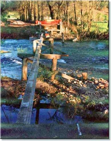 bridge collapse_edited.jpg